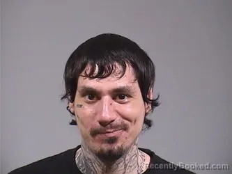 Mugshot of BRYCE OWEN STOKES