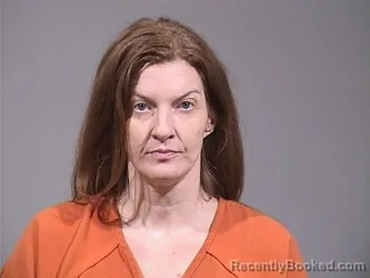 Mugshot of LEANNE ELIZABETH COMSTOCK booked in Trumbull County, Ohio on March 6, 2026