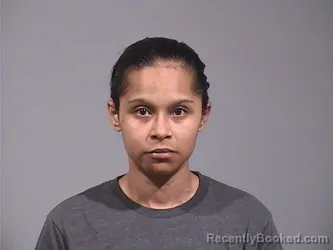 Mugshot of BRITTNEE NICOLE BABLE