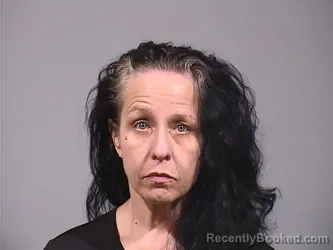 Mugshot of DAWN LOUISE ROGERS booked in Trumbull County, Ohio on March 17, 2026