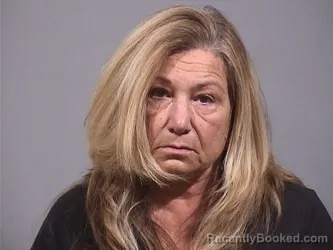 Mugshot of TARA LYNN HULVALCHICK booked in Trumbull County, Ohio on March 23, 2026