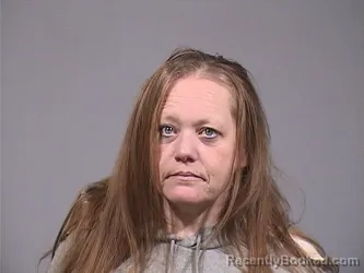 Mugshot of KATIE LEE DAVISON booked in Trumbull County, Ohio on March 24, 2026