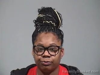 Mugshot of SAMANTHA BRIANNA MEADOWS booked in Trumbull County, Ohio on March 25, 2026