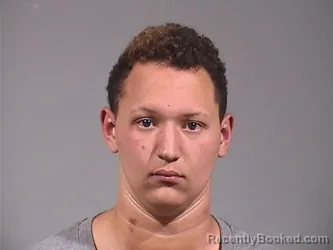 Mugshot of DOMINIQUE DYSEN ROBERTSON booked in Trumbull County, Ohio on March 26, 2026