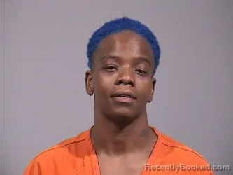 Mugshot of BRIANA JOELL MCMILLIAN booked in Trumbull County, Ohio on March 26, 2026