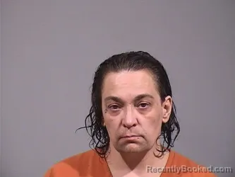 Mugshot of ALICIA LYNN ALOI booked in Trumbull County, Ohio on March 26, 2026