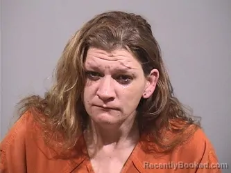 Mugshot of DANIELLE LYNN MAKER booked in Trumbull County, Ohio on March 27, 2026