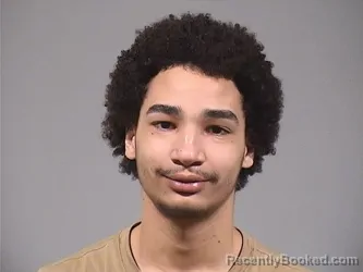 Mugshot of DEMITRIS AMUR FISHER booked in Trumbull County, Ohio on March 28, 2026