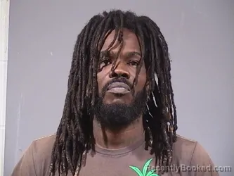 Mugshot of DANA MICHAEL WALLACE booked in Trumbull County, Ohio on March 30, 2026