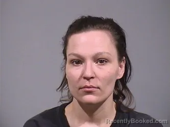 Mugshot of BOBBIE LOU LEES booked in Trumbull County, Ohio on March 31, 2026