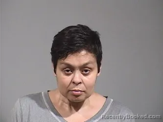 Mugshot of CHRISTINA MICHELLE GRADILLAS booked in Trumbull County, Ohio on April 3, 2026