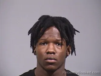 Mugshot of KING JAVIER DRAGON MCGHEE booked in Trumbull County, Ohio on April 29, 2026