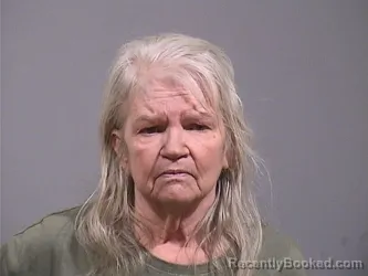 Mugshot of DEBRA LYNN SANDERS booked in Trumbull County, Ohio on April 30, 2026