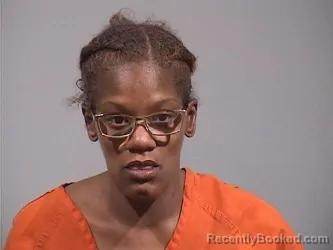 Mugshot of BRIYANNA PULLIAM LITTLEJOHN booked in Trumbull County, Ohio on May 2, 2026