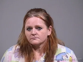 Mugshot of ALLISON JEANETTA MARIE HOAG booked in Trumbull County, Ohio on May 3, 2026