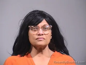 Mugshot of DOREEN ANN BELLINO booked in Trumbull County, Ohio on May 7, 2026