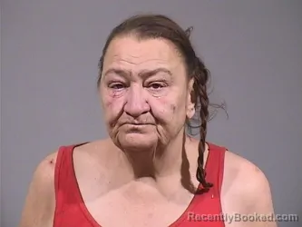 Mugshot of LINDA JEAN ZDUNIAK booked in Trumbull County, Ohio on May 7, 2026