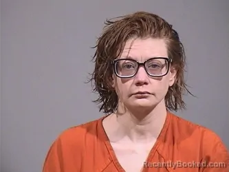 Mugshot of JESSICA LYNN DOMKOWSKI booked in Trumbull County, Ohio on May 8, 2026