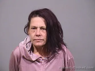Mugshot of LORI RENEE SHROUT booked in Trumbull County, Ohio on May 11, 2026
