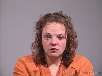 Mugshot of COURTNEY NICOLE WEBB booked in Trumbull County, Ohio on May 11, 2026