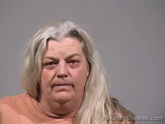 Mugshot of JENNIFER RENEE RIMEL booked in Trumbull County, Ohio on May 15, 2026