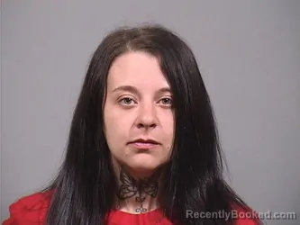 Mugshot of LINDA MARIE HOLBROOK booked in Trumbull County, Ohio on May 16, 2026