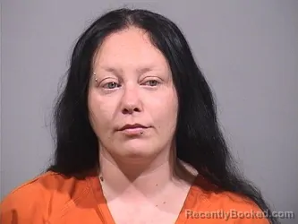 Mugshot of ALEXIS ANN LOGAN booked in Trumbull County, Ohio on May 17, 2026