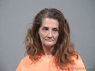 Mugshot of LISA JEAN VIVIO booked in Trumbull County, Ohio on May 21, 2026