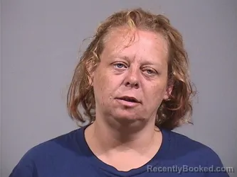 Mugshot of RHONDA LEE CUMMINGS booked in Trumbull County, Ohio on June 22, 2026
