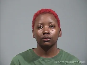 Mugshot of ANIYAH TASUNIQUE NOLEN booked in Trumbull County, Ohio on June 26, 2026