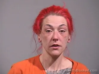 Mugshot of SARA BETH JOHNSON booked in Trumbull County, Ohio on June 27, 2026