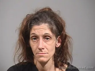 Mugshot of LESLEY NICOLE AGOSTI booked in Trumbull County, Ohio on July 1, 2026