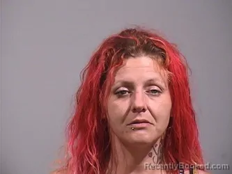 Mugshot of HEATHER ANN TAYLOR booked in Trumbull County, Ohio on July 5, 2026