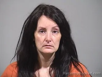 Mugshot of CAITLIN ELIZABETH POWERS booked in Trumbull County, Ohio on July 7, 2026