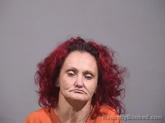 Mugshot of PRISCILLA MAE MILLER booked in Trumbull County, Ohio on July 8, 2026