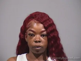 Mugshot of TAMERRICK DIONNA AVIS RAY booked in Trumbull County, Ohio on July 9, 2026