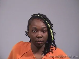 Mugshot of ASHLEY NICOLE COBB booked in Trumbull County, Ohio on July 9, 2026