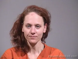 Mugshot of DEBRA LYNN MCGARRY booked in Trumbull County, Ohio on July 14, 2026