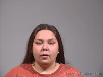 Mugshot of Journey Marie Torres booked in Trumbull County, Ohio on August 19, 2026