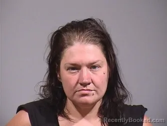 Mugshot of Stephanie Ann Lawyer booked in Trumbull County, Ohio on August 26, 2026