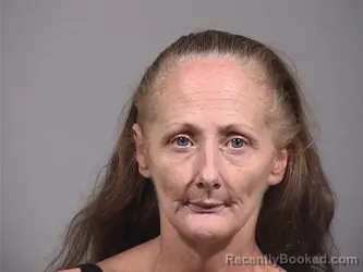 Mugshot of Barbara Sue Hudson booked in Trumbull County, Ohio on August 29, 2026