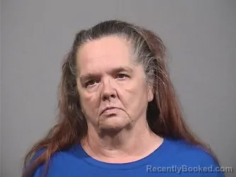 Mugshot of Lisa Sue Toscano booked in Trumbull County, Ohio on September 3, 2026