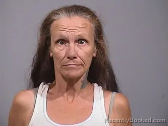 Mugshot of Patricia Anne Hosey booked in Trumbull County, Ohio on September 10, 2026