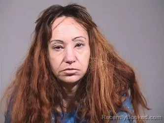 Mugshot of Sarah Lynn Carnell booked in Trumbull County, Ohio on October 27, 2026