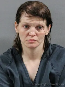 Mugshot of COURTNEY MARIE HENRY booked in Tuscarawas County, Ohio on March 28, 2026