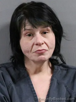 Mugshot of AMANDA MARIE PHELPS booked in Tuscarawas County, Ohio on April 25, 2026