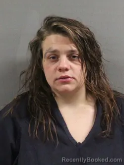 Mugshot of LOUANN KAY SEARS