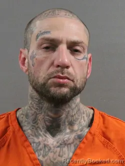 Mugshot of JANCE C RANDOLPH