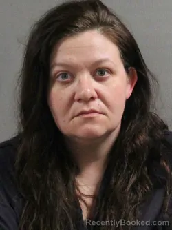 Mugshot of AMANDA RAYLEEN VOGELSONG