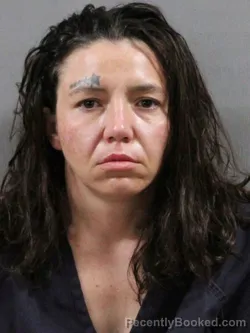Mugshot of BRITTANY LOUISE CUNNINGHAM booked in Tuscarawas County, Ohio on May 7, 2026